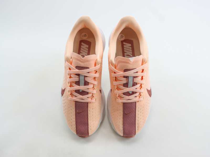 Pegasus Plus 'Rose'